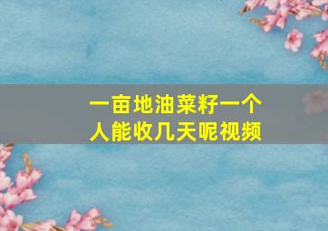 一亩地油菜籽一个人能收几天呢视频