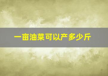 一亩油菜可以产多少斤