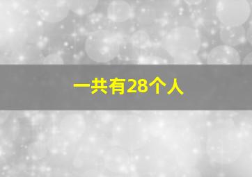 一共有28个人