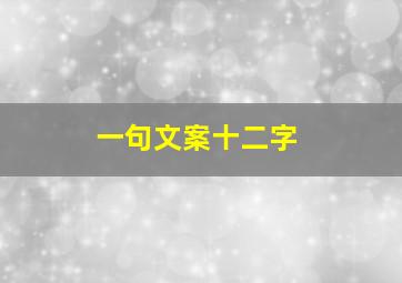 一句文案十二字