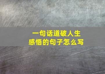 一句话道破人生感悟的句子怎么写