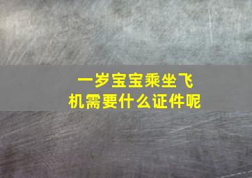 一岁宝宝乘坐飞机需要什么证件呢