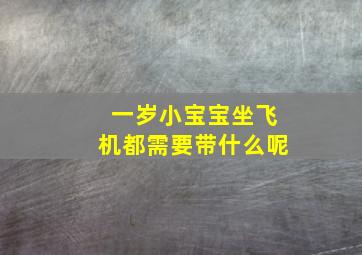 一岁小宝宝坐飞机都需要带什么呢