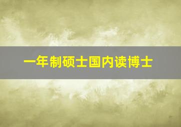 一年制硕士国内读博士