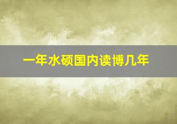 一年水硕国内读博几年