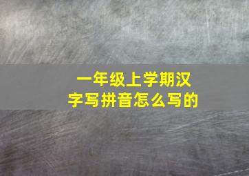 一年级上学期汉字写拼音怎么写的