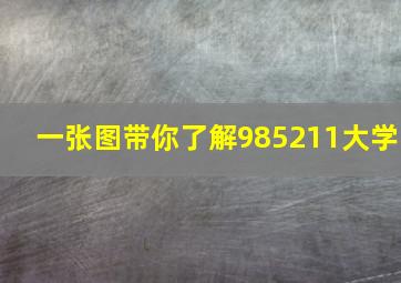 一张图带你了解985211大学