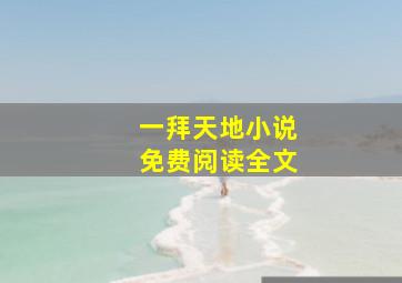 一拜天地小说免费阅读全文