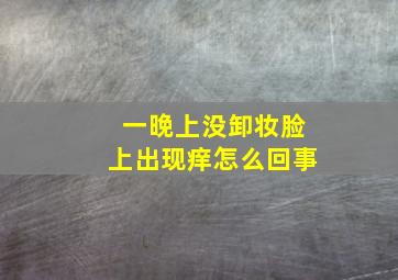 一晚上没卸妆脸上出现痒怎么回事