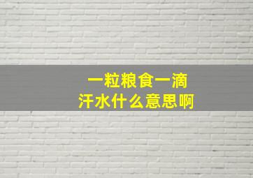 一粒粮食一滴汗水什么意思啊