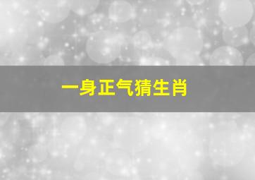 一身正气猜生肖