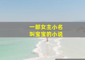 一部女主小名叫宝宝的小说