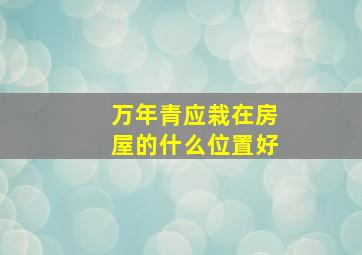 万年青应栽在房屋的什么位置好