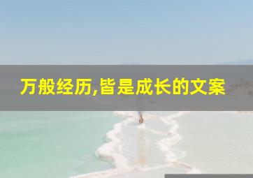 万般经历,皆是成长的文案