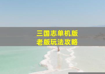 三国志单机版老版玩法攻略