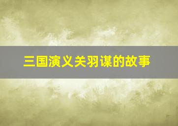 三国演义关羽谋的故事