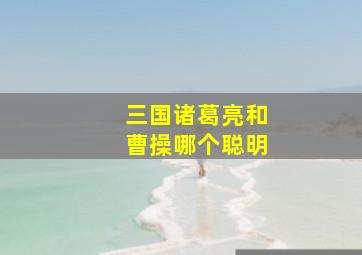 三国诸葛亮和曹操哪个聪明