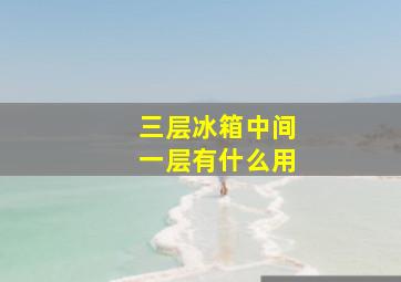 三层冰箱中间一层有什么用