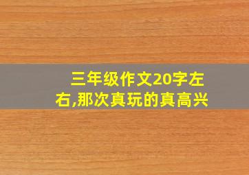 三年级作文20字左右,那次真玩的真高兴