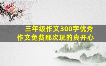 三年级作文300字优秀作文免费那次玩的真开心