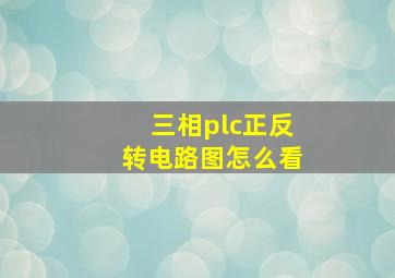 三相plc正反转电路图怎么看