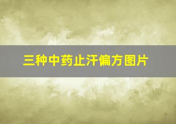 三种中药止汗偏方图片