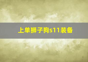 上单狮子狗s11装备