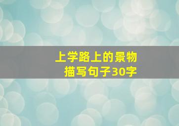 上学路上的景物描写句子30字