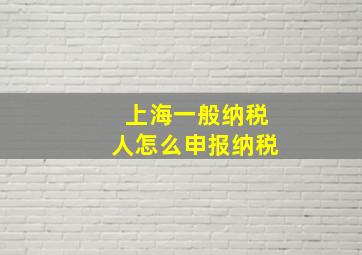 上海一般纳税人怎么申报纳税