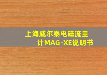 上海威尔泰电磁流量计MAG-XE说明书