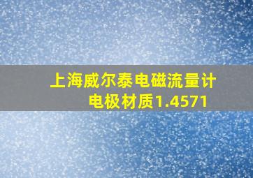 上海威尔泰电磁流量计电极材质1.4571