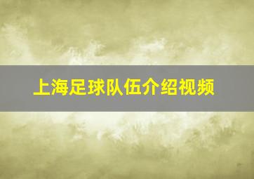 上海足球队伍介绍视频