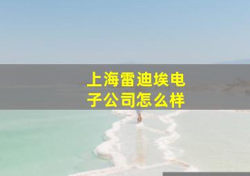 上海雷迪埃电子公司怎么样