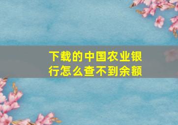 下载的中国农业银行怎么查不到余额