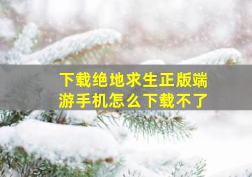 下载绝地求生正版端游手机怎么下载不了