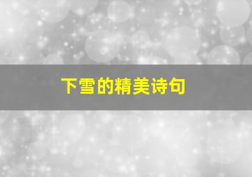 下雪的精美诗句