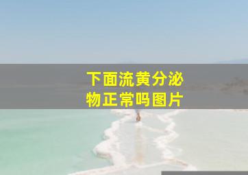 下面流黄分泌物正常吗图片