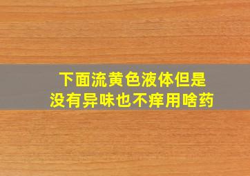 下面流黄色液体但是没有异味也不痒用啥药