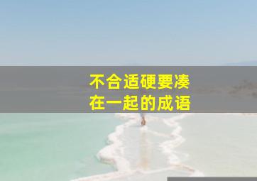 不合适硬要凑在一起的成语