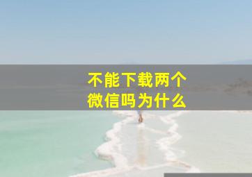 不能下载两个微信吗为什么