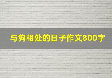 与狗相处的日子作文800字