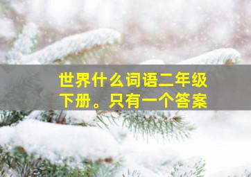 世界什么词语二年级下册。只有一个答案