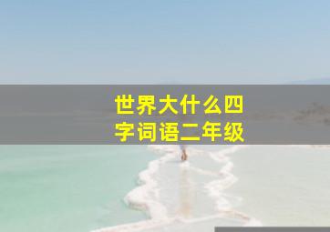 世界大什么四字词语二年级