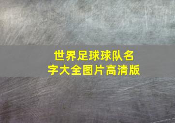 世界足球球队名字大全图片高清版