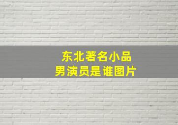 东北著名小品男演员是谁图片