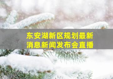 东安湖新区规划最新消息新闻发布会直播