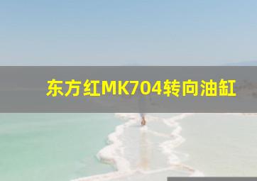 东方红MK704转向油缸