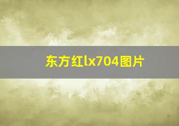 东方红lx704图片