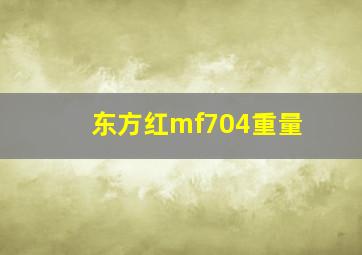 东方红mf704重量