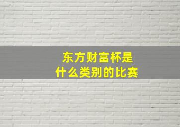 东方财富杯是什么类别的比赛